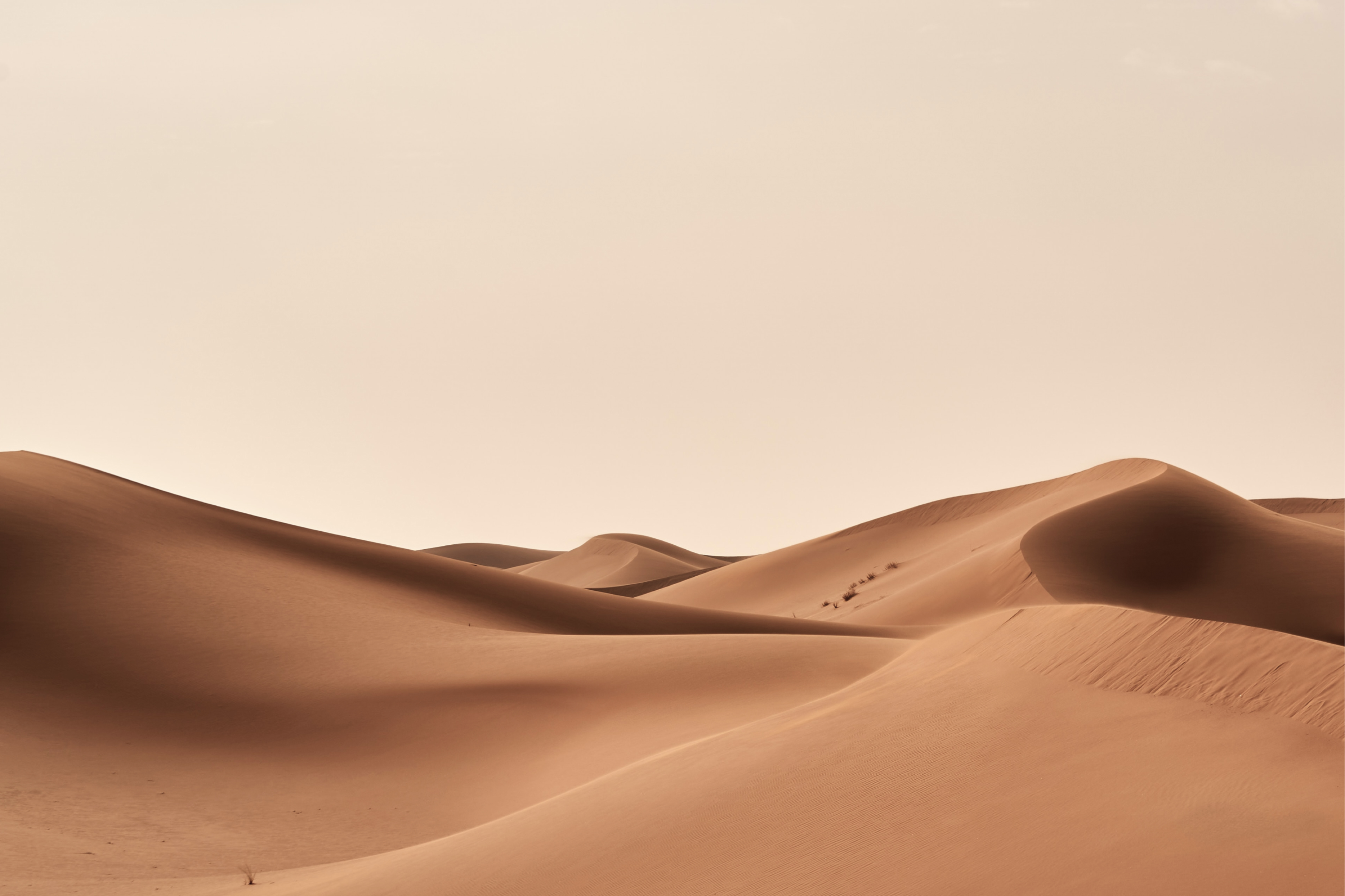 Carol Raymond